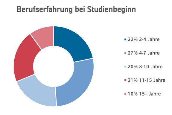 Diagramm Berufserfahrung