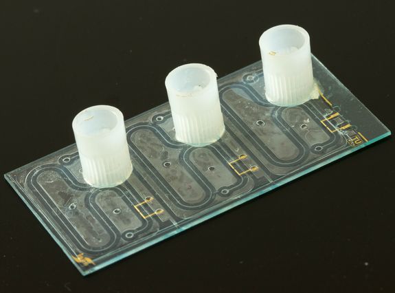 Mikrofluidik-Chips für Bodennährstoff-Messungen Mikrofluidik-Chips für Bodennährstoff-Messungen