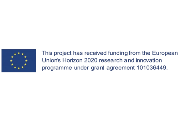 Flagge der EU sowie Hinweis, dass Projekt durch Horizon 2020 gefördert wird.