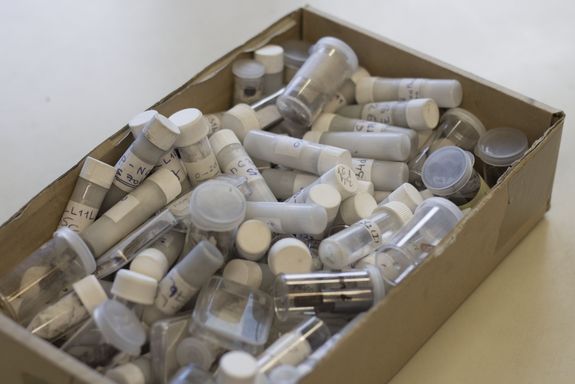 Mit vielen unterschiedlichen thermoelektrischen Materialien arbeitet man im CD-Labor von Prof. Ernst Bauer. Mit vielen unterschiedlichen thermoelektrischen Materialien arbeitet man im CD-Labor von Prof. Ernst Bauer.