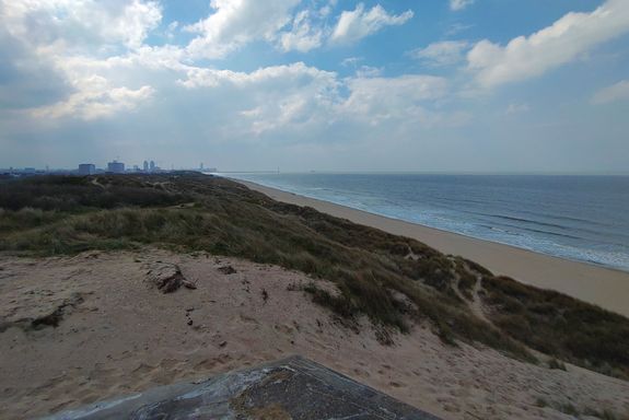 Strand