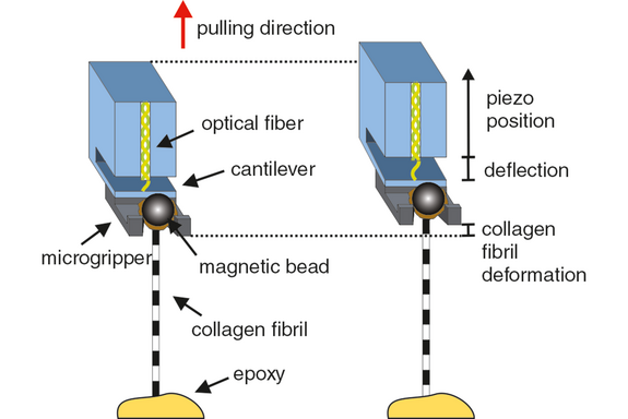 Schematic representation of how NanoTens works.