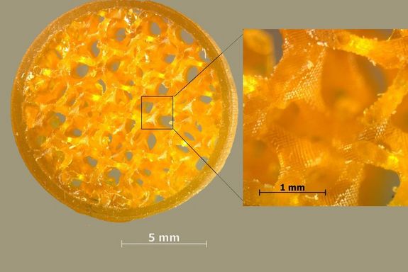 Eine kreisrunde, gelbe Scheibe mit einer löchrigen, sehr feinen Struktur mit der Größenangabe 5mm. Daneben die rechteckige Vergrößerung eines Ausschnitts der Scheibe mit der Größen angabe 1mm.
