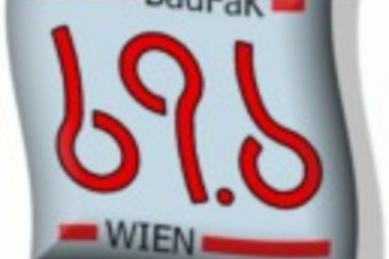 Prof. Dr. Geraldine Fitzpatrick