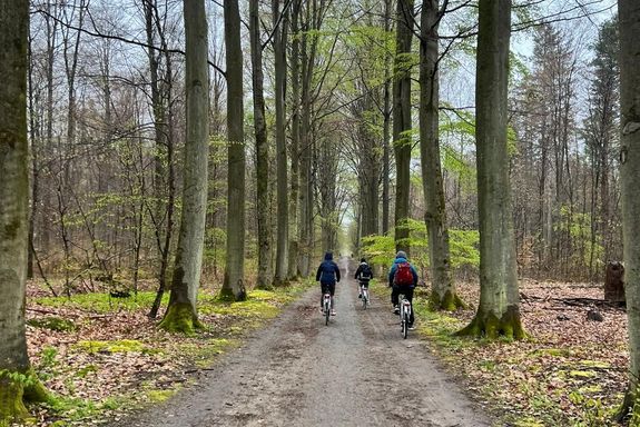 Radfahrer auf dem Waldweg