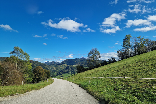 Das Foto zeigt eine schmale Straße, die durch eine sommerliche Hügellandschaft führt.