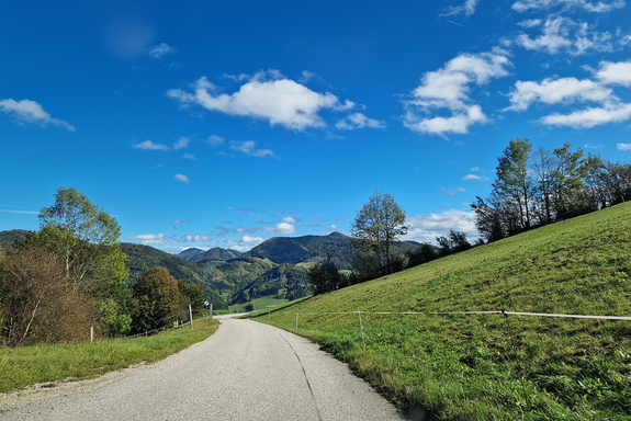 Das Foto zeigt eine schmale Straße, die durch eine sommerliche Hügellandschaft führt.