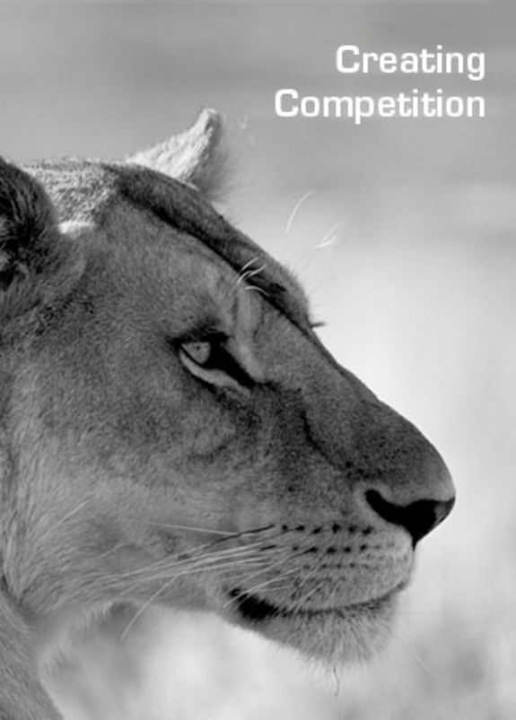 Terunobu Fujimori, Foto: Terunobu Fujimori