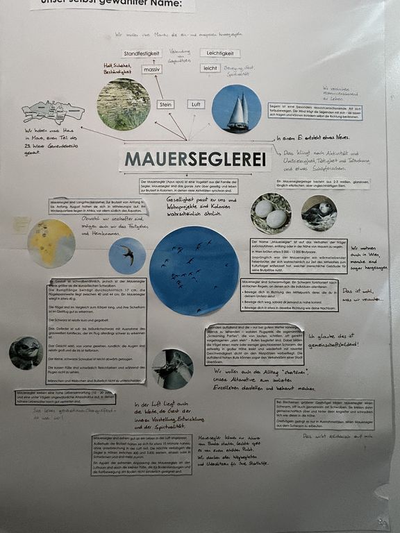 Namensfindung der "Mauerseglerei"