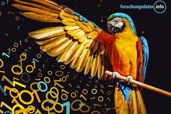 Photo of a parrot with outstretched wing, under the wing zeros and ones, in the upper right corner the logo of forschungsdaten.info