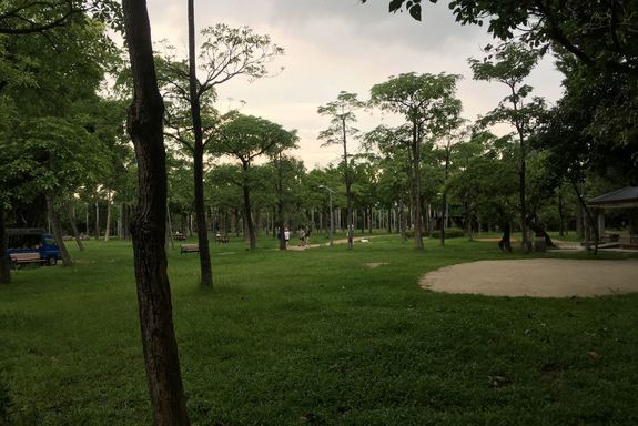 Daan Park