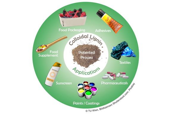Circle which shows the plurality of possible applications of the Colloidal Lignin