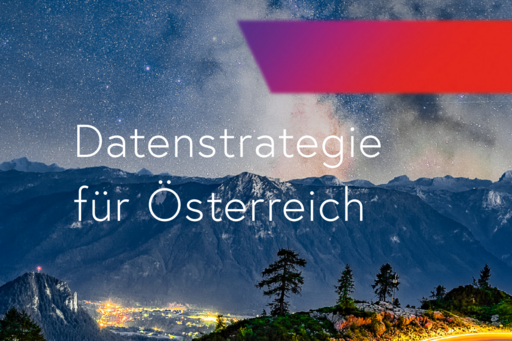 The picture shows a section of the data strategy's cover page.