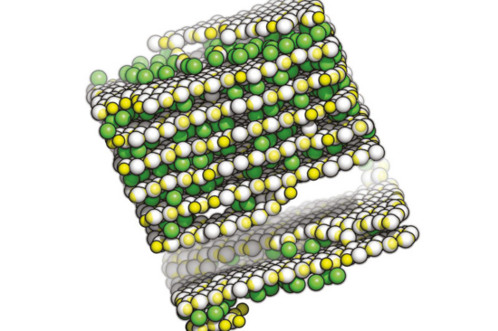 [Translate to English:] 