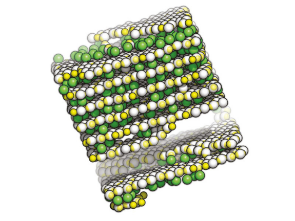 [Translate to English:] 