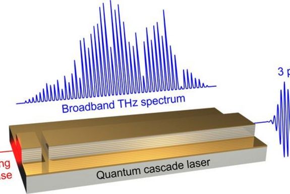 schematische Darstellung