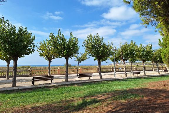 Park am Strand