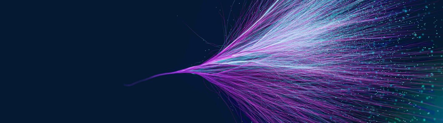 Many white and purple lights connected by thin lines