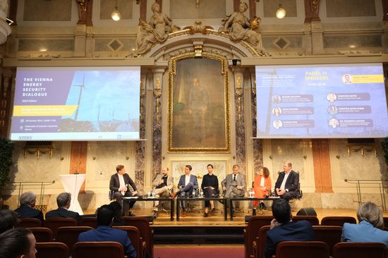 Discussion 7th edition of the Vienna Energy Security Dialogue