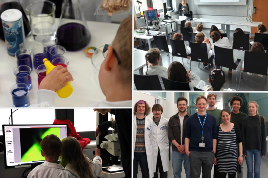 Collage mit Bildern vom Workshop. Links oben: Kind von hinten beim Experimentieren mit Farben, links unten zwei Kinder vor einem Bildschirm, von hinten aufgenommen, rechts oben: kinder in einem Seminarraum beim Vortrag (von hinten), rechts unten das Team der Erwachsenen, 8 Leute.