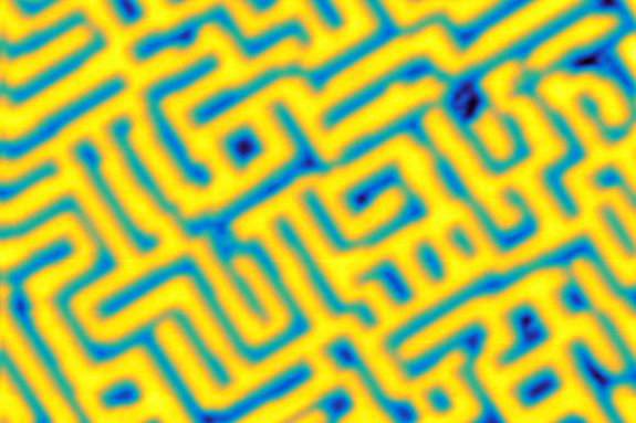 Die Labyrinth-Struktur auf der Oberfläche des Kristalls