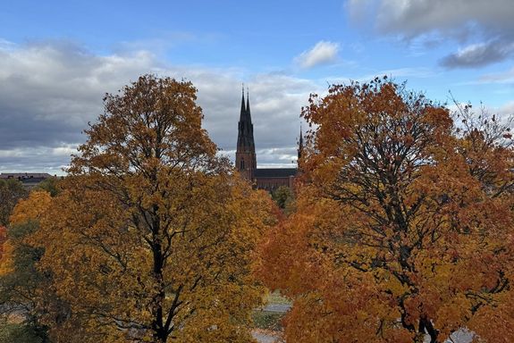 Kirche hinter Bäumen