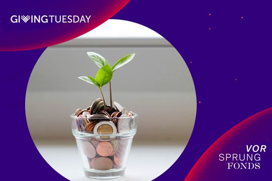 A small green plant blossoms in a jar with soil and coins