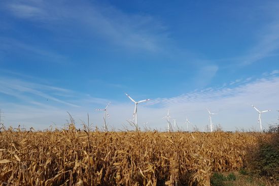 [Translate to English:] Feld mit Windrädern