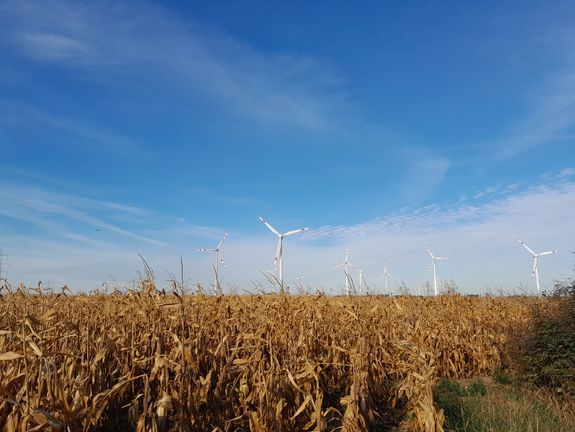 Feld mit Windrädern