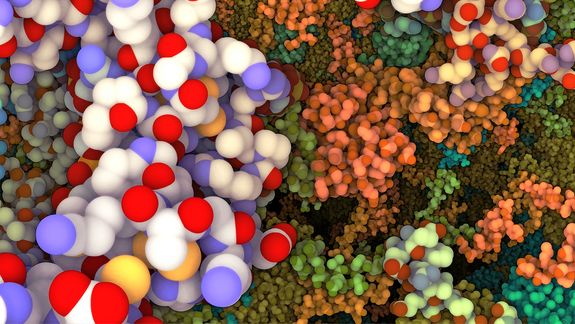 Zoomen bis zur atomaren Skala