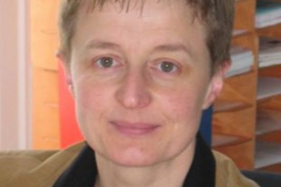 Bestehende Stauanlage Lower St. Anthony Falls (USA)