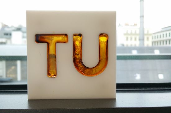 Das Epoxidharz - in TU-Form gebracht und ausgehärtet