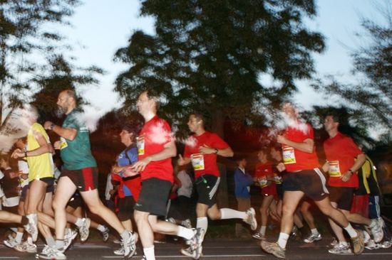 Business Run 2010 (Copyright www.businessrun.at)