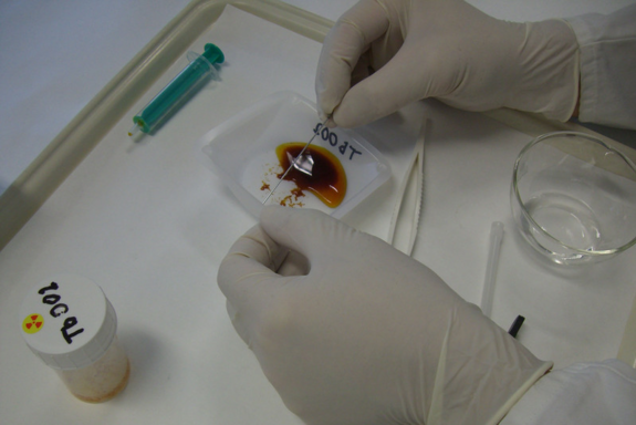 Kristallfischen aus der Terbium(III)-Lösung 