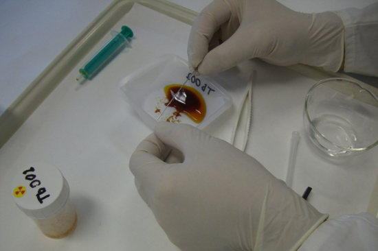 Kristallfischen aus der Terbium(III)-Lösung 