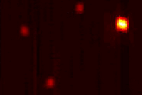 [Translate to English:] 