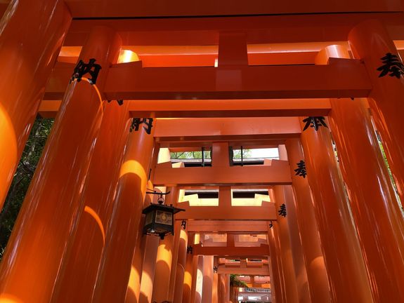Fushimi Inari Schrein mit seinen unzähligen roten Torii