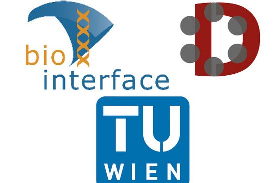 Bio-interfaces und niedrigdimensionale Materialien