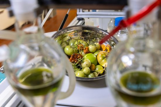 Schale mit grünen und vertrockneten Tomaten sowie zwei Kolben mit grüner Flüssigkeit.