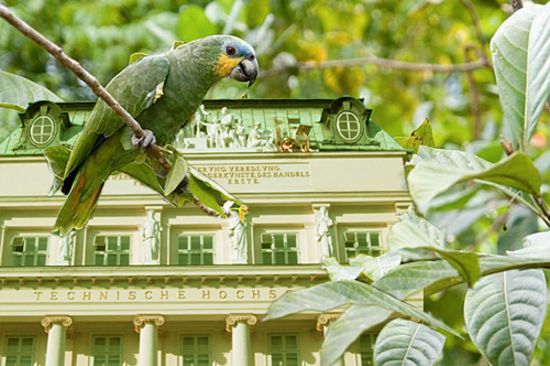 TU Wien - eine grüne Universität