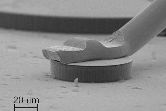 Micro-cavity Terahertz Quantenkaskadenlaser