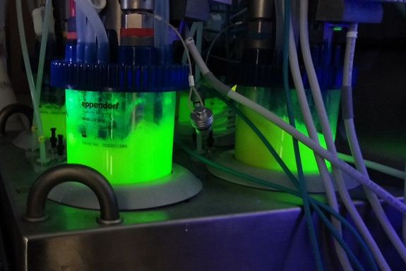 Leuchtende Flüssigkeit, Farbe - Grün