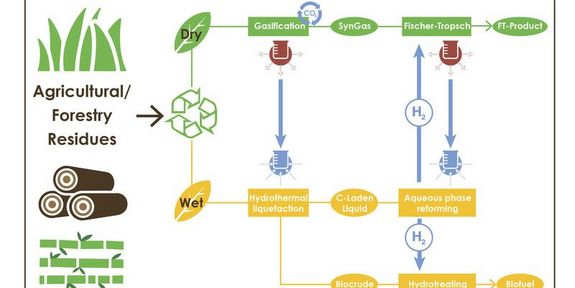 Schema: So wird aus Bio-Rohstoffen Bio-Treibstoff