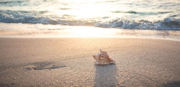 [Translate to English:] Strand mit Muschel, Sonne und Wolken
