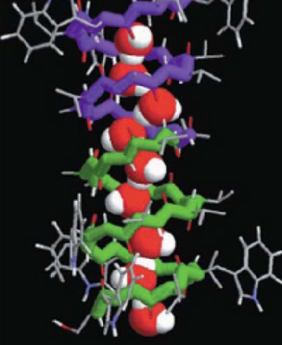 MultiPlat: Protonentransport ähnlich wie in biologischen Strukturen (Gramicidin-A).