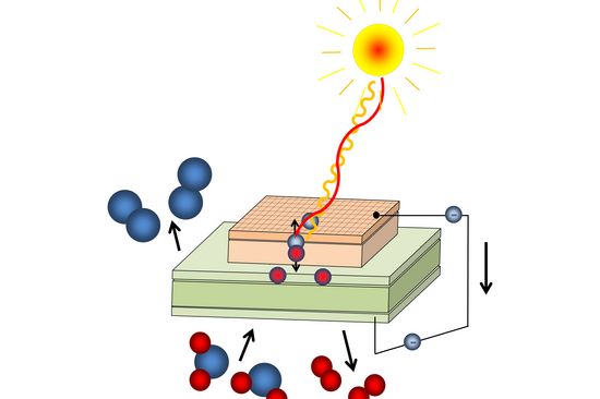 Photochemische Zelle: Licht erzeugt freie Ladungsträger, Sauerstoff (blau) wird durch die Membran gepumpt.