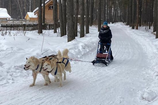 dog sledding