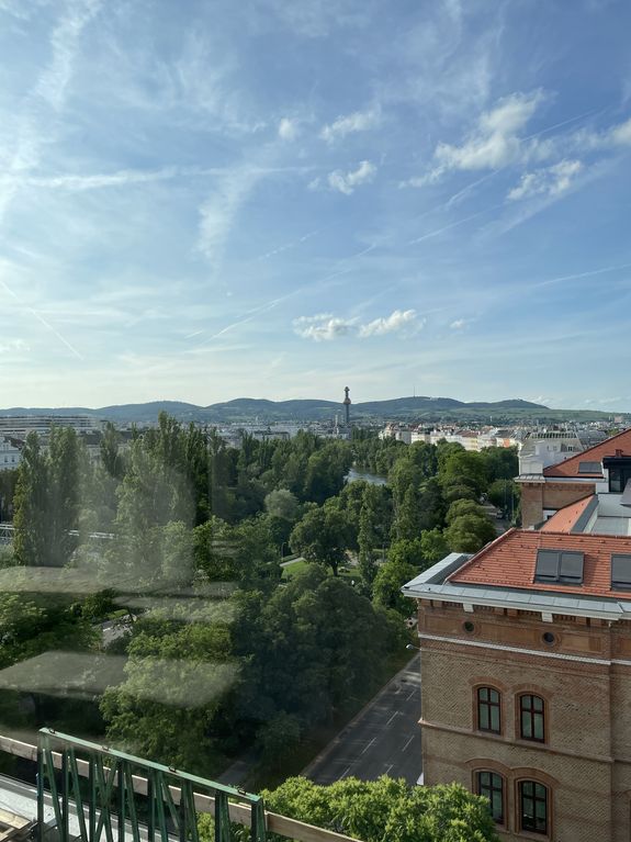 Blick über Wien