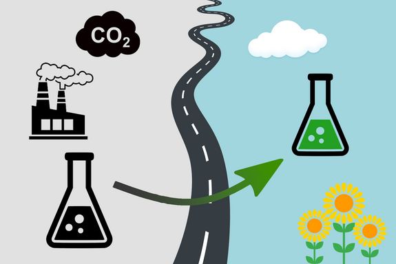 links graue Landschaft mit Fabrik, rechts blauer Himmel mit Blumen