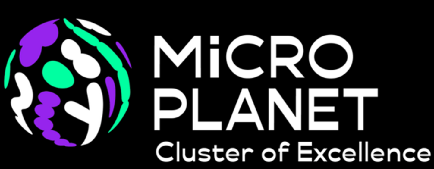 Micro Planet Logo
